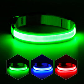 Adjustable USB Rechargeable LED Dog Collar