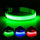 Adjustable USB Rechargeable LED Dog Collar