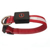 Adjustable USB Rechargeable LED Dog Collar