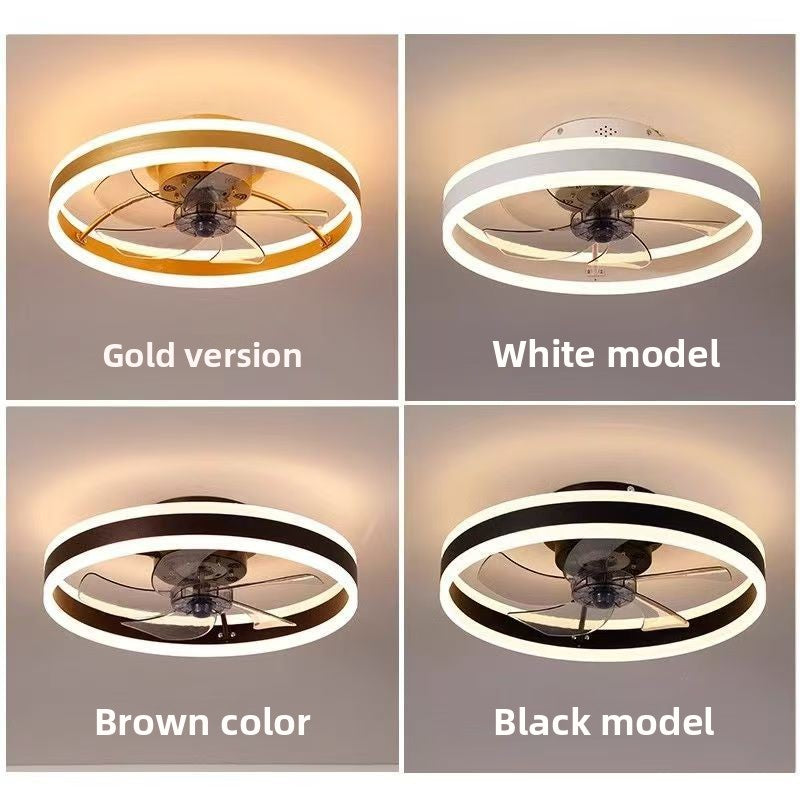 Modern Ceiling Fan Light with LED
