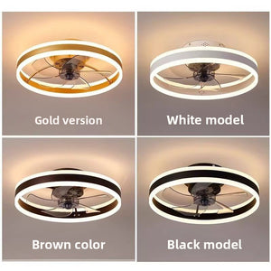 Modern Ceiling Fan Light with LED
