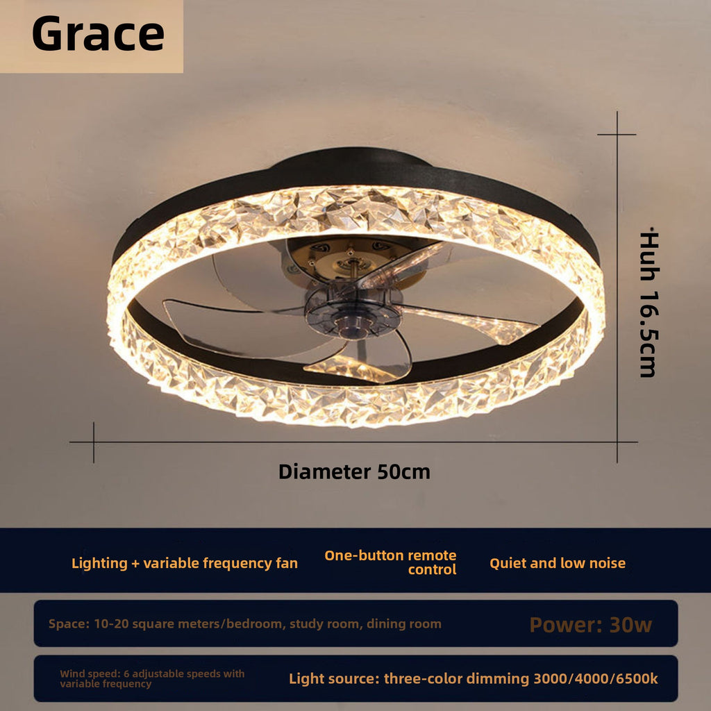 Modern Ceiling Fan Light with LED