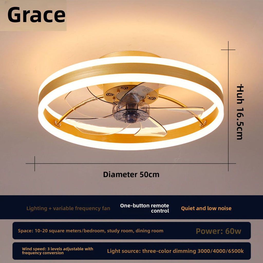 Modern Ceiling Fan Light with LED