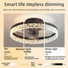 Modern Ceiling Fan Light with LED