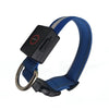 Adjustable USB Rechargeable LED Dog Collar